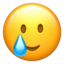 SMILING FACE WITH TEAR