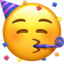 FACE WITH PARTY HORN AND PARTY HAT