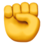 RAISED FIST